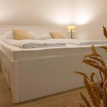 Zvane Otel Malinska